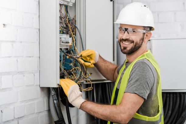 Best Affordable Electrician  in Swartz Creek, MI