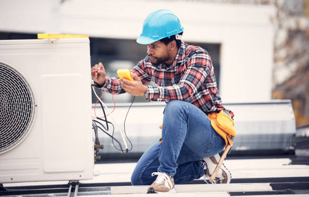 Best Affordable Electrician  in Swartz Creek, MI