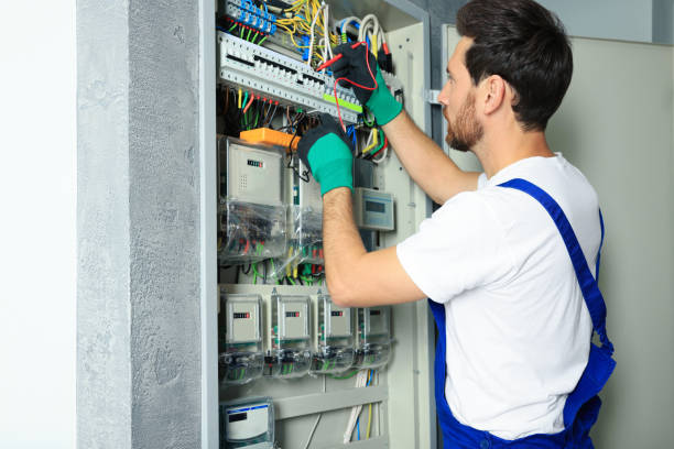 Best Electric Panel Repair  in Swartz Creek, MI