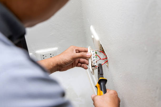 Best Electrical Upgrades for Homes  in Swartz Creek, MI